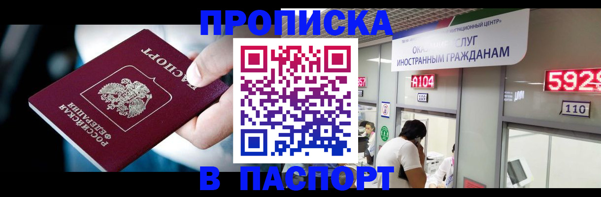 временная прописка в Волосово